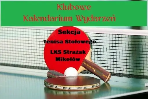 Liga i turnieje: podsumowanie występów sekcji tenisa stołowego